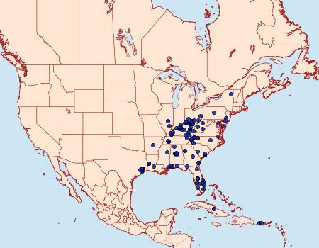 Distribution Data for Chrysendeton medicinalis