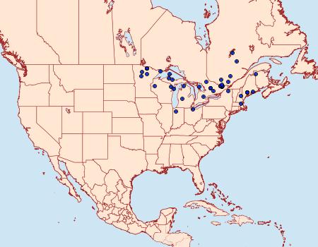 Distribution Data for Elophila ekthlipsis