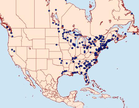 Distribution Data for Elophila icciusalis