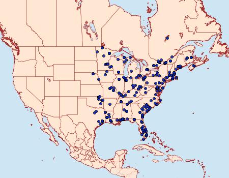 Distribution Data for Elophila gyralis