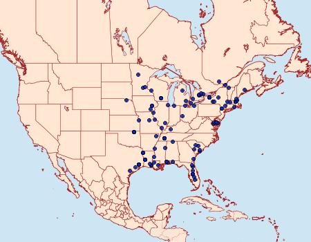 Distribution Data for Elophila tinealis