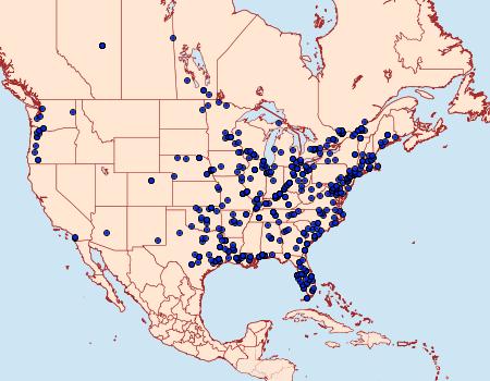 Distribution Data for Elophila obliteralis