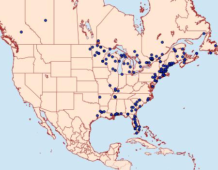 Distribution Data for Parapoynx maculalis