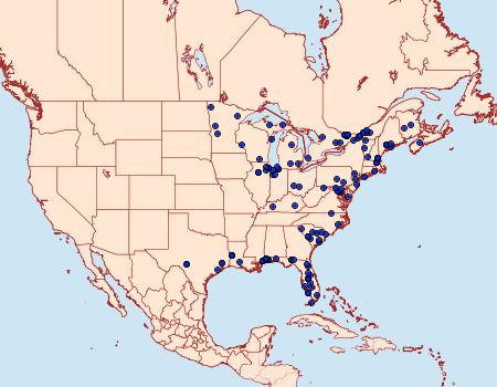 Distribution Data for Parapoynx obscuralis