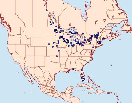 Distribution Data for Parapoynx badiusalis