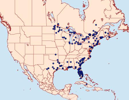 Distribution Data for Parapoynx allionealis