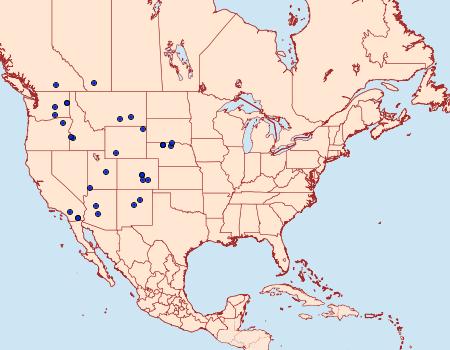 Distribution Data for Petrophila kearfottalis