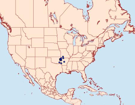 Distribution Data for Petrophila hodgesi