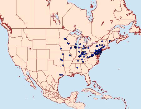 Distribution Data for Petrophila fulicalis