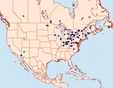 Distribution Data for Petrophila canadensis