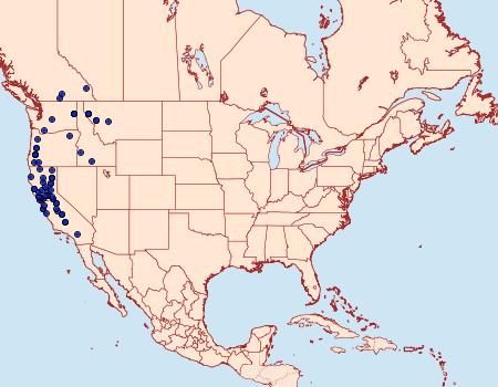 Distribution Data for Petrophila confusalis