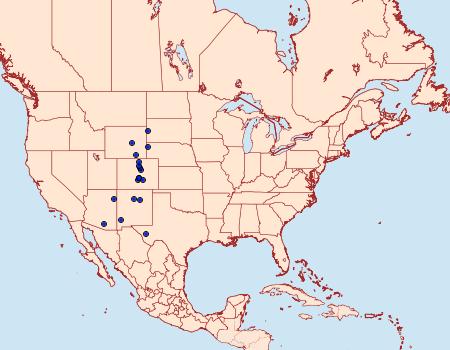 Distribution Data for Petrophila avernalis