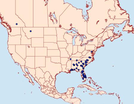 Distribution Data for Eoparargyractis irroratalis