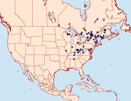 Distribution Data for Cliniodes ostreonalis