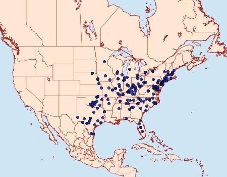 Distribution Data for Eustixia pupula