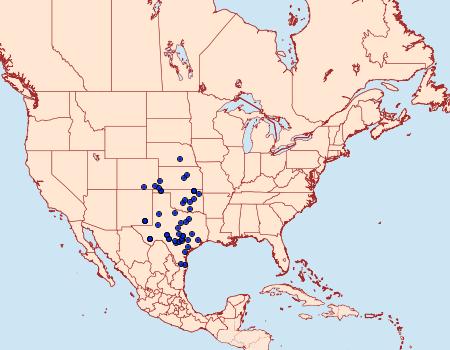 Distribution Data for Microtheoris vibicalis