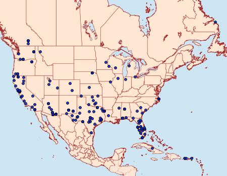 Distribution Data for Microtheoris ophionalis