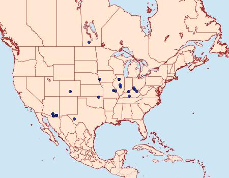 Distribution Data for Frechinia helianthiales