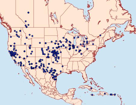 Distribution Data for Mimoschinia rufofascialis