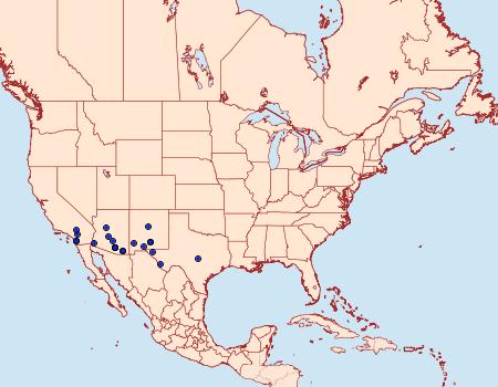 Distribution Data for Mojavia achemonalis