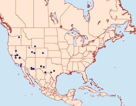 Distribution Data for Hellula aqualis