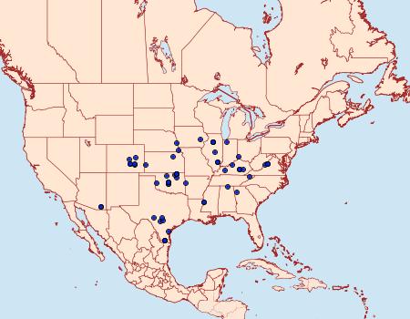 Distribution Data for Nephrogramma reniculalis