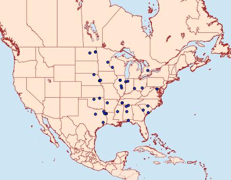 Distribution Data for Stegea eripalis