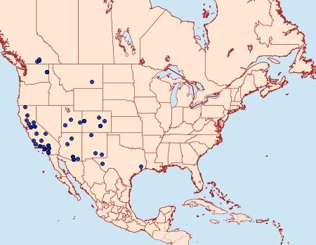 Distribution Data for Stegea salutalis