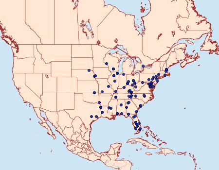 Distribution Data for Glaphyria glaphyralis