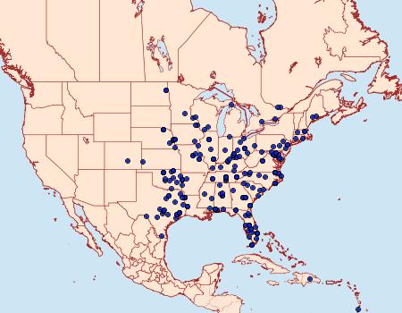 Distribution Data for Glaphyria sesquistrialis