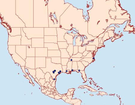 Distribution Data for Glaphyria peremptalis