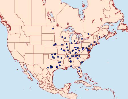 Distribution Data for Aethiophysa invisalis