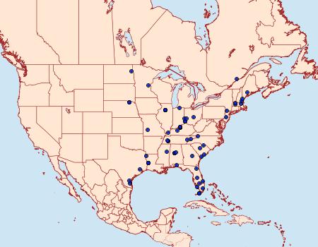 Distribution Data for Xanthophysa psychicalis