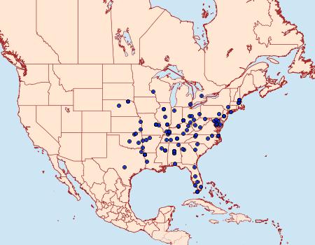 Distribution Data for Lipocosma sicalis