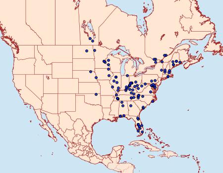 Distribution Data for Lipocosmodes fuliginosalis