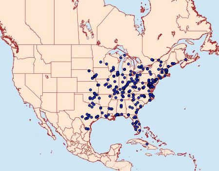 Distribution Data for Dicymolomia julianalis