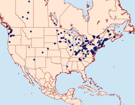 Distribution Data for Evergestis pallidata