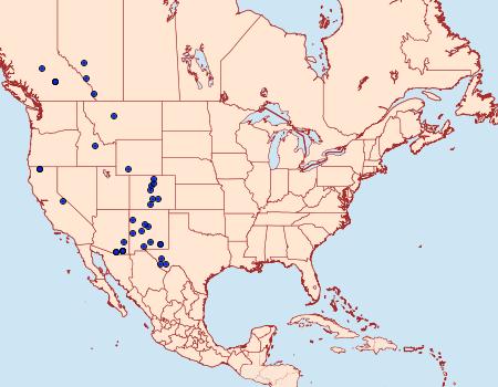 Distribution Data for Evergestis simulatilis