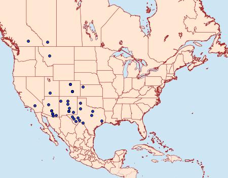 Distribution Data for Evergestis vinctalis