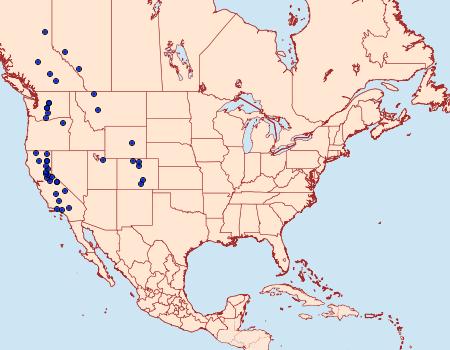 Distribution Data for Evergestis subterminalis