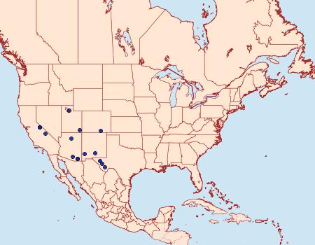 Distribution Data for Evergestis obliqualis