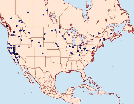 Distribution Data for Saucrobotys fumoferalis