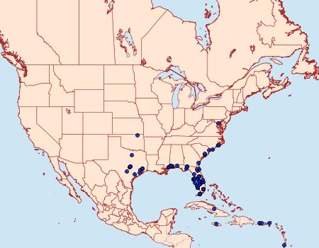 Distribution Data for Oenobotys vinotinctalis