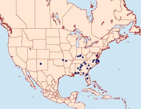 Distribution Data for Crocidophora pustuliferalis