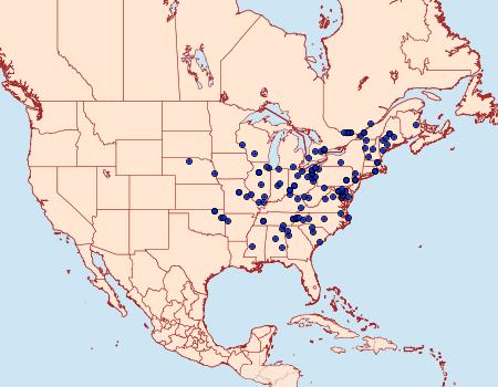 Distribution Data for Crocidophora serratissimalis