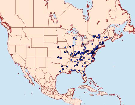 Distribution Data for Crocidophora tuberculalis