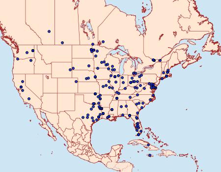 Distribution Data for Ostrinia penitalis