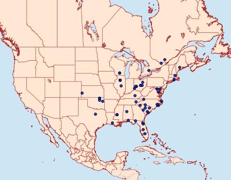 Distribution Data for Ostrinia obumbratalis