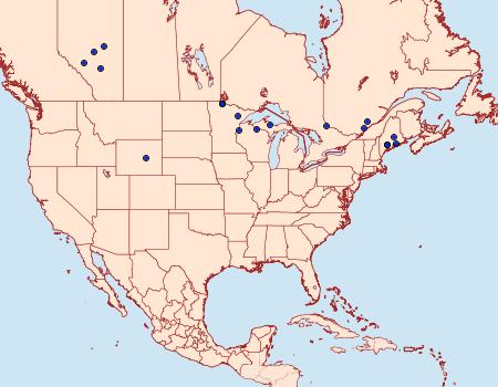 Distribution Data for Ostrinia marginalis