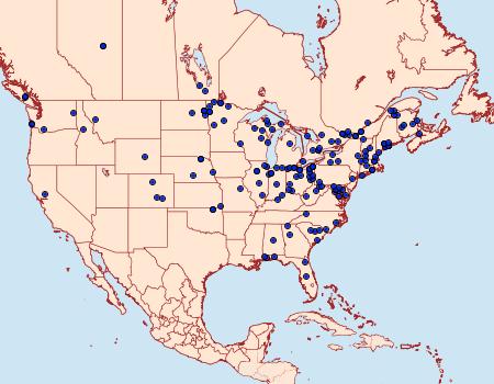 Distribution Data for Fumibotys fumalis